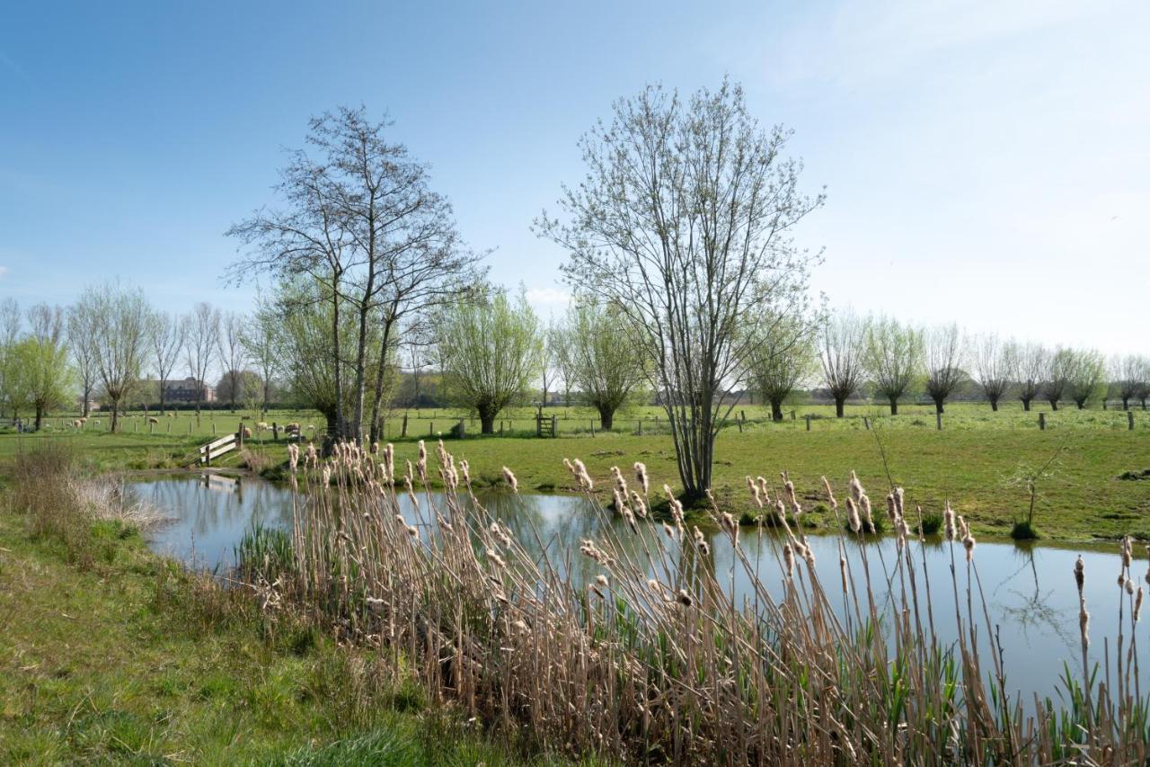 Hoeve De Mertel Biezenmortel Bagian luar foto